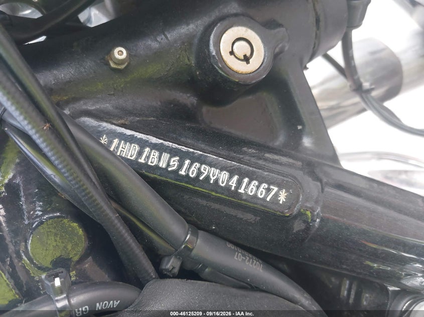 HARLEY-DAVIDSON FLSTC 2009