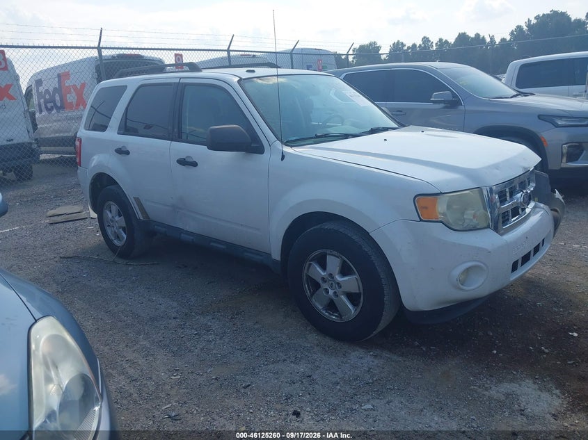 Vin: 1fmcu0dg7bkb79617, lot: 46624980, ford escape xlt 2011 img_1