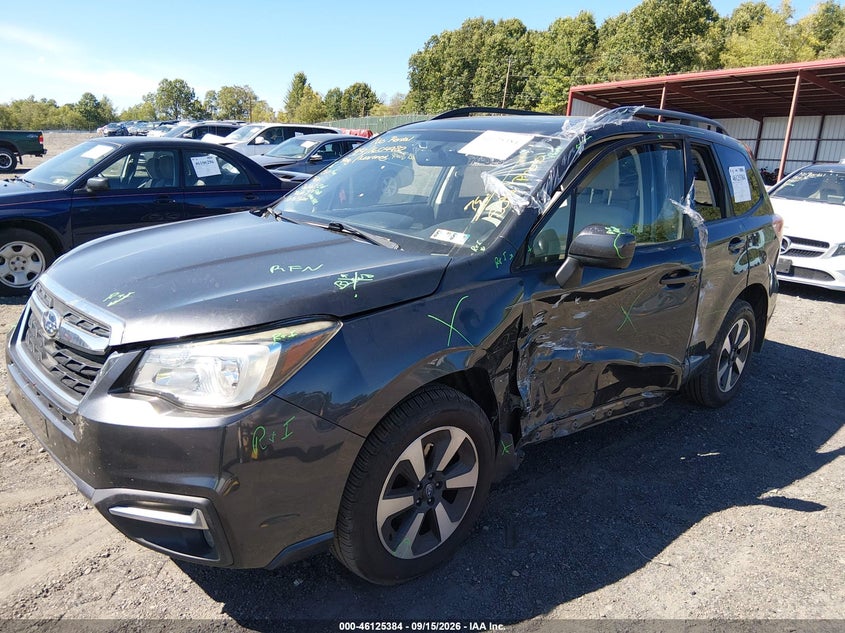 2017 Subaru Forester, Left & Right Side, IAAI, VIN JF2SJAGCXHH421296 — photo 2