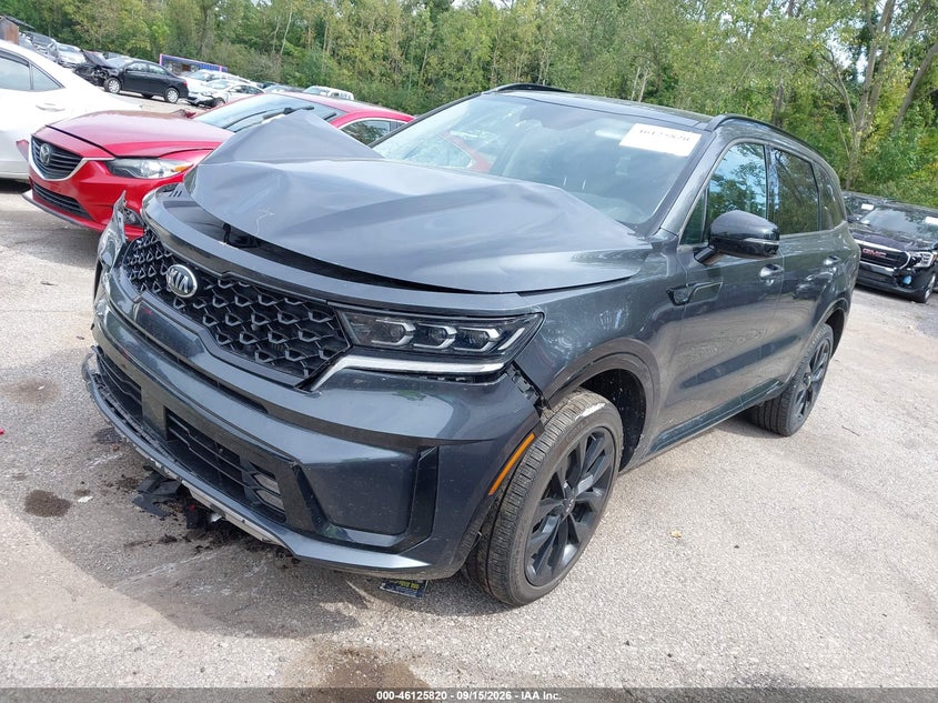 Vin: 5xyrkdlf7mg051780, lot: 46625540, kia sorento sx 20212