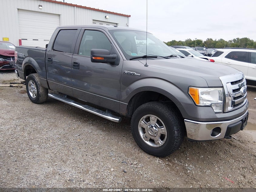 Vin: 1ftfw1ev8afd90685, lot: 46625687, ford f-150 xlt 2010 img_1