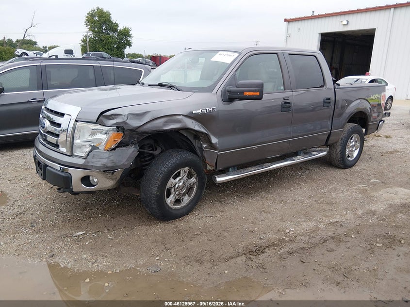 Vin: 1ftfw1ev8afd90685, lot: 46625687, ford f-150 xlt 20102