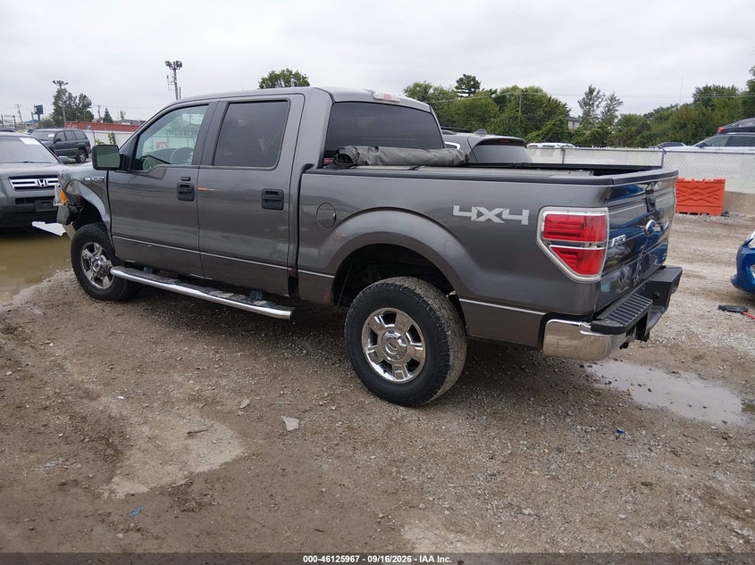 Vin: 1ftfw1ev8afd90685, lot: 46625687, ford f-150 xlt 20103