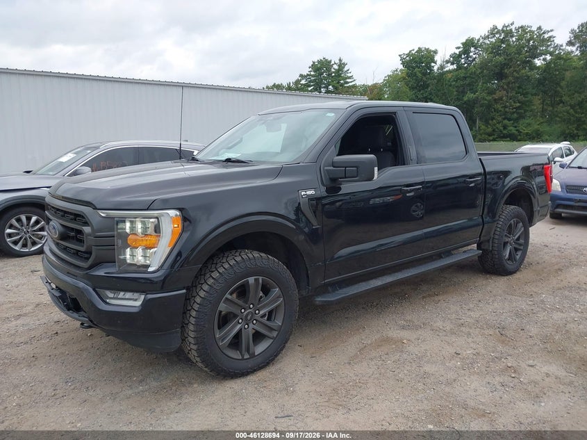 Vin: 1ftfw1e87pfa37633, lot: 46628414, ford f-150 xlt 20232