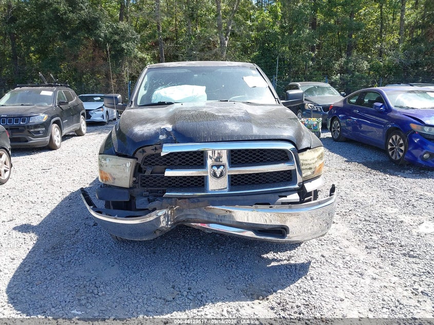 DODGE RAM 1500 2010 VIN 1D7RB1GPXAS101732