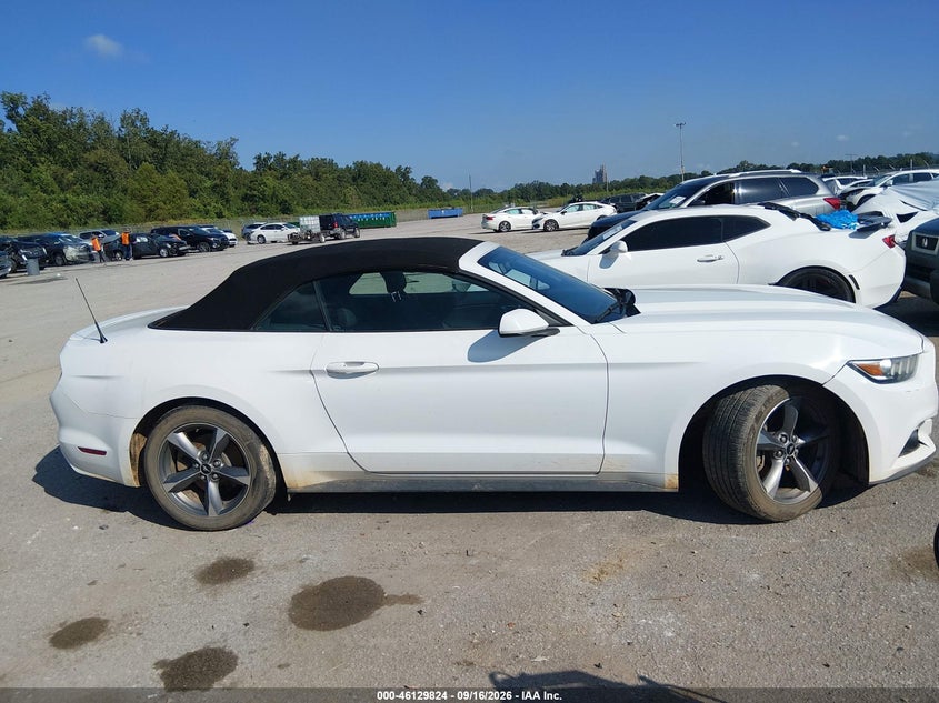 FORD MUSTANG - zdjęcie 13