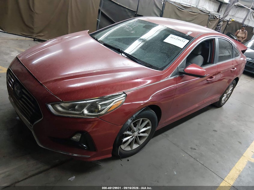 2019 Hyundai Sonata, По колу, IAAI, VIN 5NPE24AF8KH792589 — фото 2