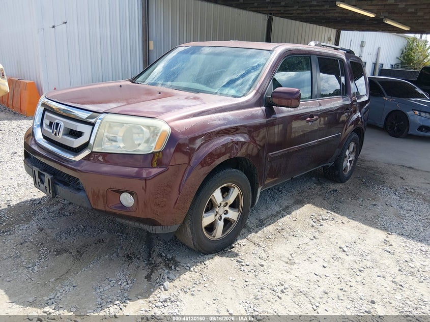 Vin: 5fnyf4h5xab013737, lot: 46629880, honda pilot ex-l 20102