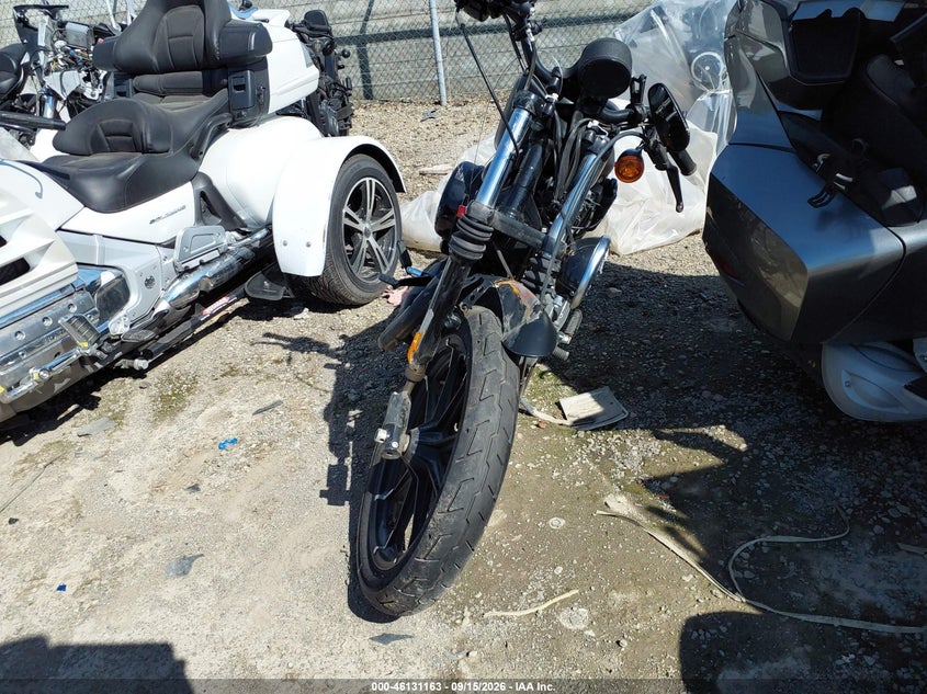 HARLEY-DAVIDSON XL883 2020