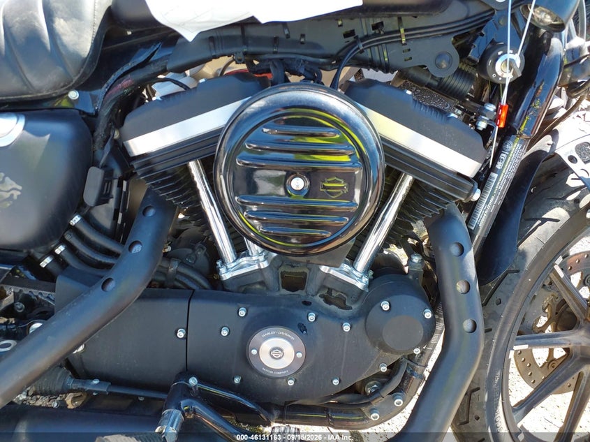 HARLEY-DAVIDSON XL883 2020