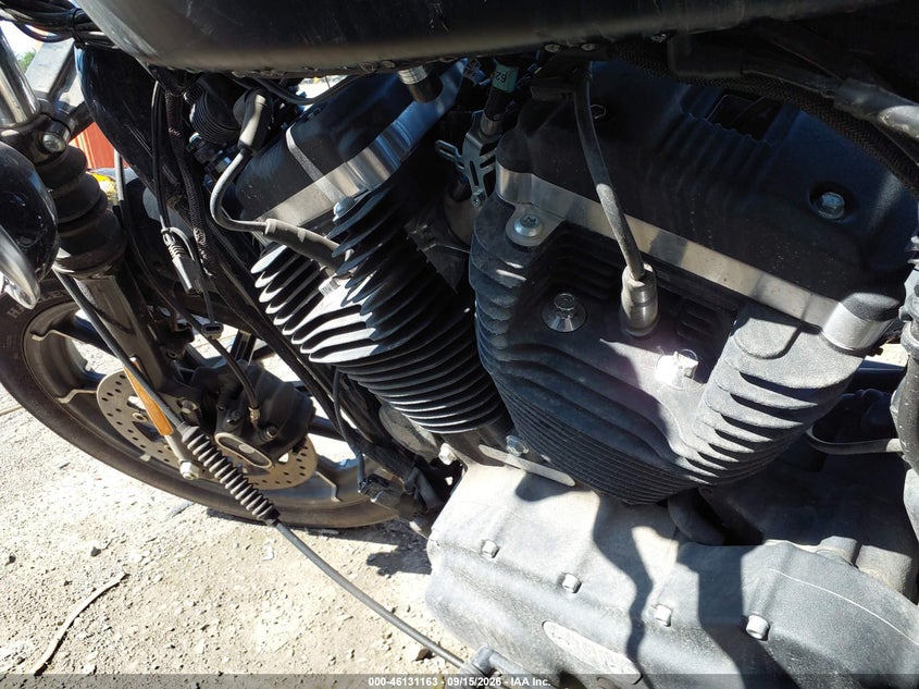 HARLEY-DAVIDSON XL883 2020