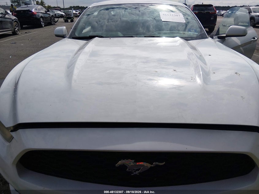 FORD MUSTANG - zdjęcie 10