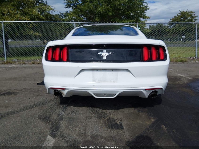 FORD MUSTANG - zdjęcie 16