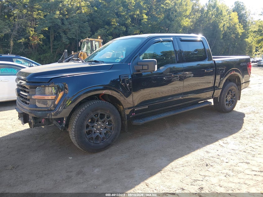 Vin: 1ftfw3ldxrfa30786, lot: 46632149, ford f-150 xlt 20242