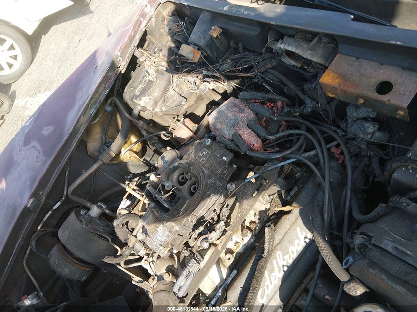 CHEVROLET CORVETTE 1981 VIN 1G1AY8764B5101837
