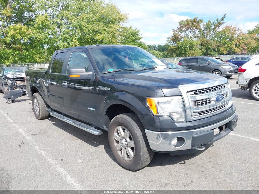 Vin: 1ftfw1et3dfd21731, lot: 46633073, ford f-150 xlt 2013 img_1