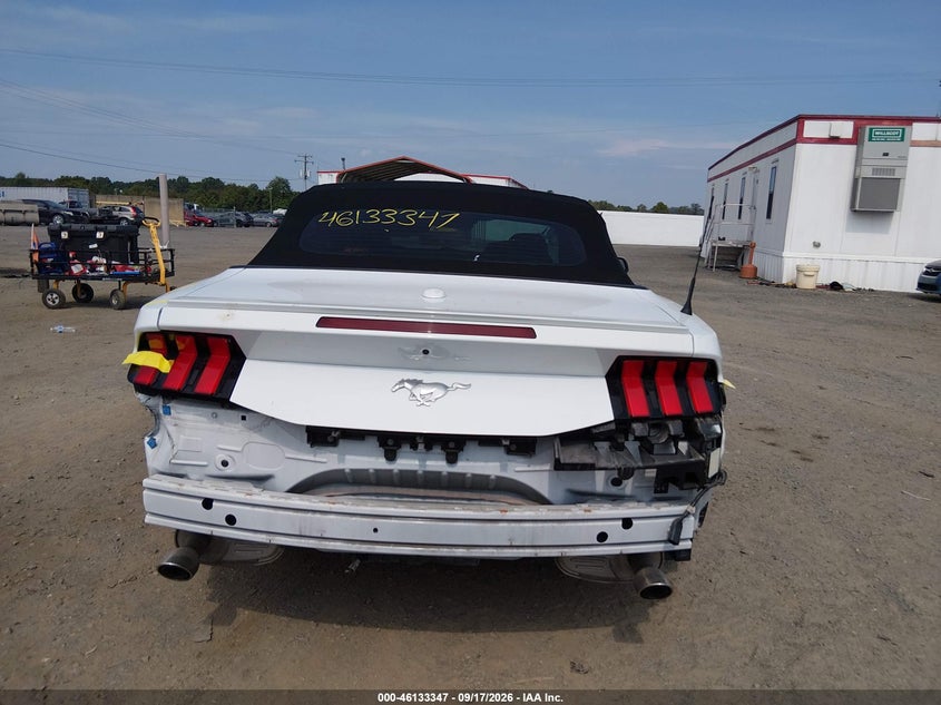 FORD MUSTANG - zdjęcie 16