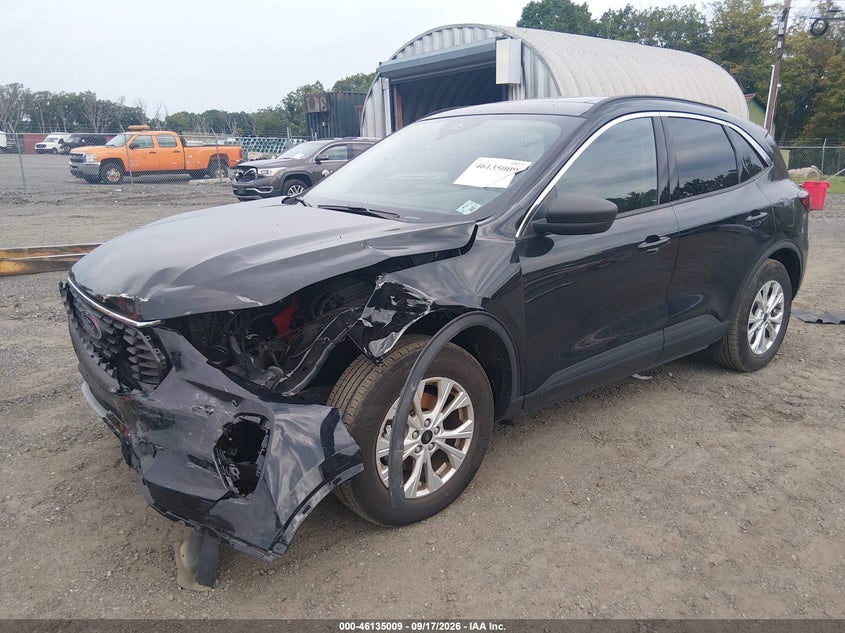 Vin: 1fmcu9gn7rub16448, lot: 46634743, ford escape active 20242
