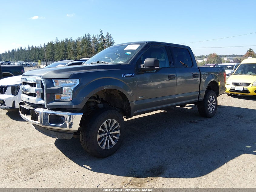 Vin: 1ftew1eg7ffa01569, lot: 46636067, ford f-150 xlt 20152