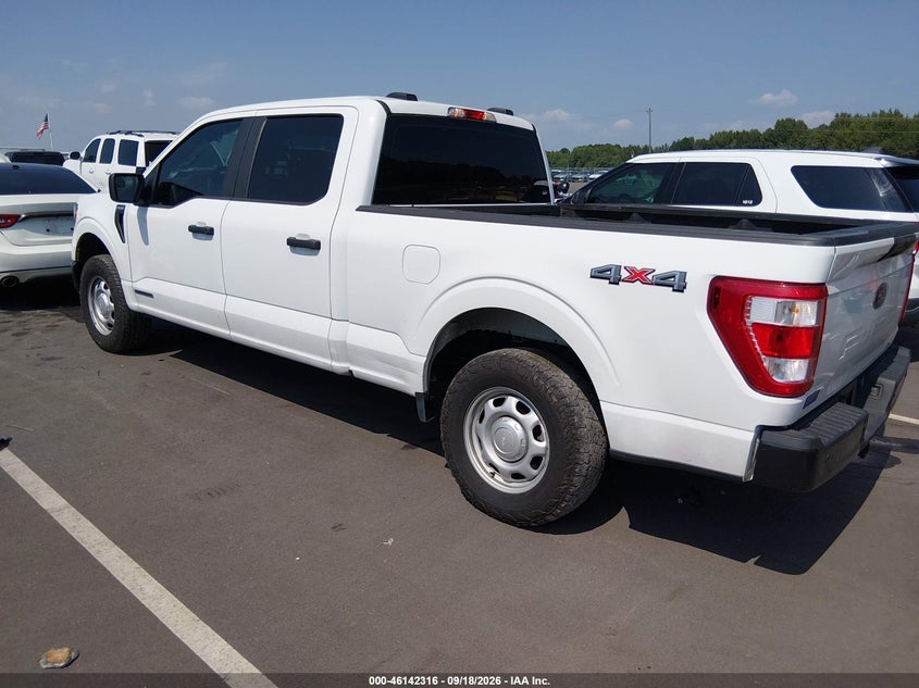 Vin: 1ftfw1ed9pfc18228, lot: 46642073, ford f-150 xl 20233