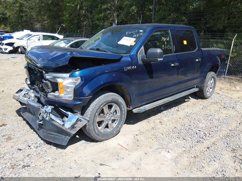 Vin: 1ftew1e48kkf07970, lot: 46642584, ford f-150 xlt 20192