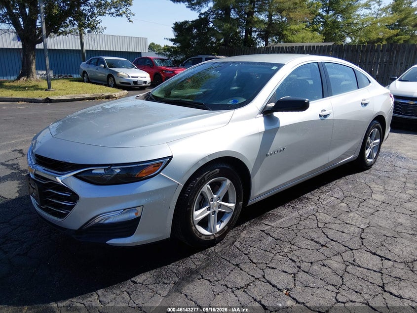 2020 Chevrolet Malibu, Звичайний знос, IAAI, VIN 1G1ZC5ST6LF099419 — фото 2