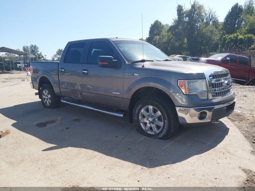 Vin: 1ftfw1et2dfa33151, lot: 46643197, ford f-150 xlt 2013 img_1