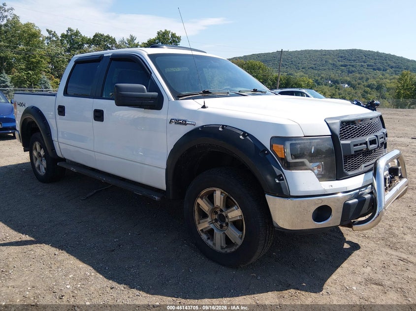 Vin: 1ftfw1ef9dfb68170, lot: 46643462, ford f-150 xlt 2013 img_1