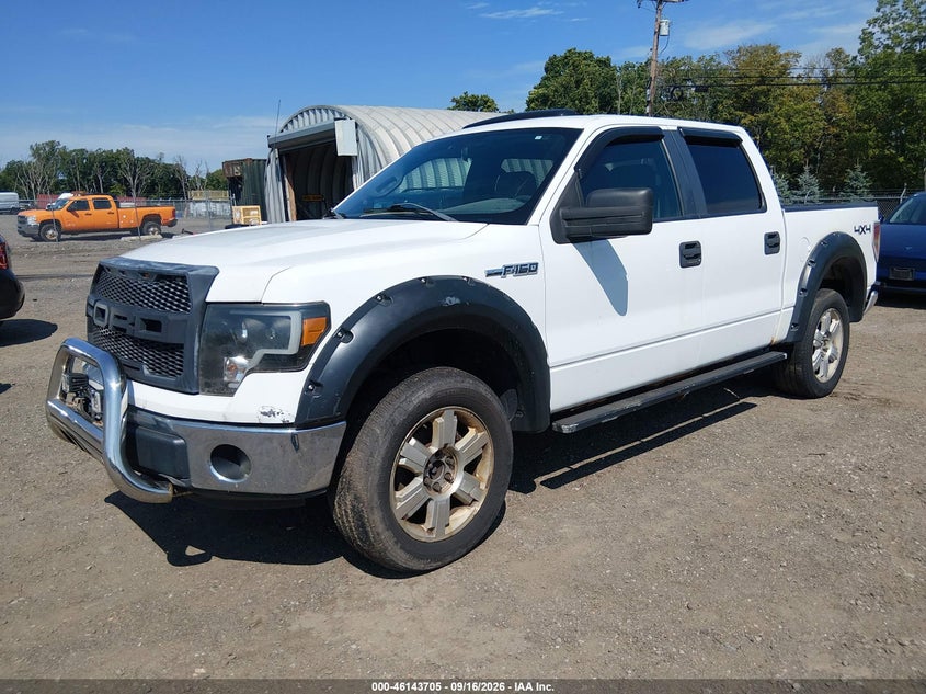 Vin: 1ftfw1ef9dfb68170, lot: 46643462, ford f-150 xlt 20132