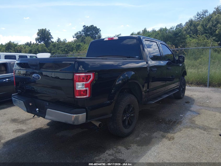 Vin: 1ftew1e59lfb71510, lot: 46644547, ford f-150 xlt 20204