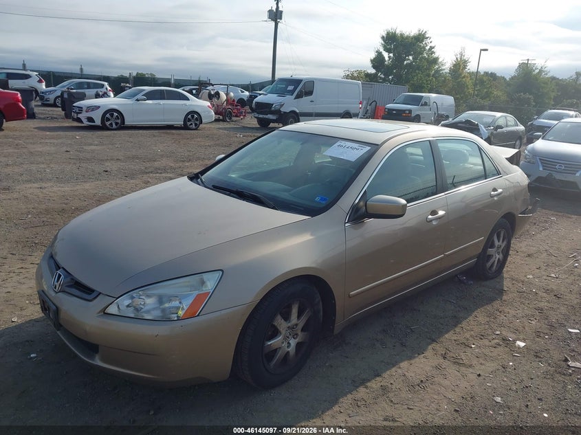 2005 Honda Accord 3.0 Ex, Rear, IAAI, VIN 1HGCM66575A042661 — photo 2