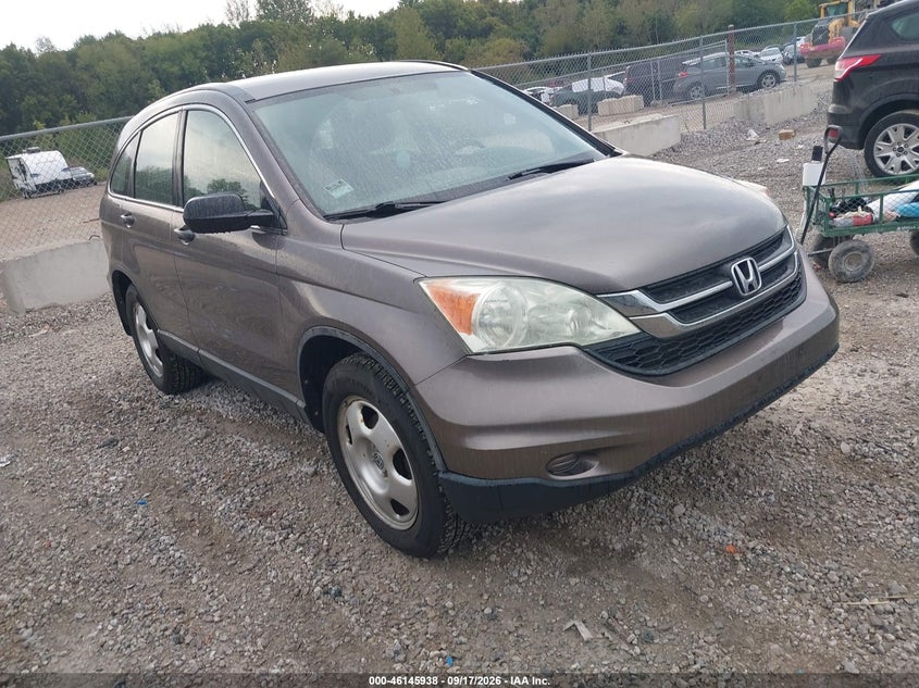 Vin: 5j6re4h37al073570, lot: 46645695, honda cr-v lx 2010 img_1