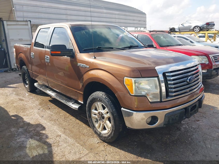 Vin: 1ftew1cm4bfc38734, lot: 46646502, ford f-150 xlt 2011 img_1