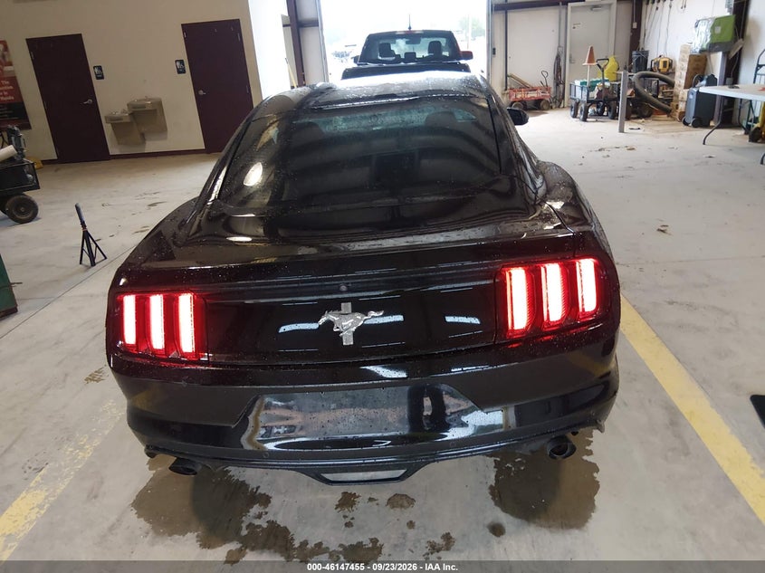 FORD MUSTANG - zdjęcie 16