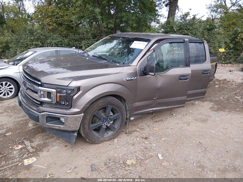 Vin: 1ftew1c50kfb82929, lot: 46647877, ford f-150 xlt 20192