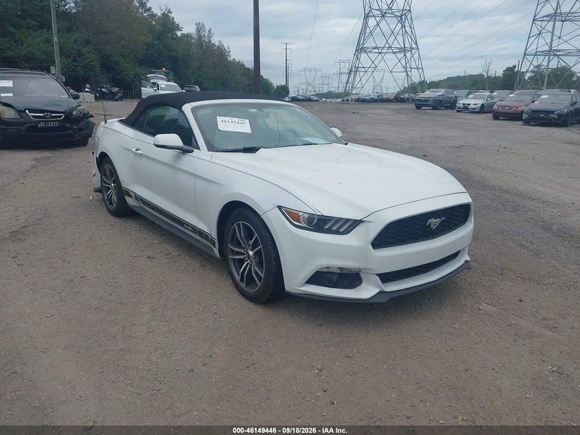 FORD MUSTANG