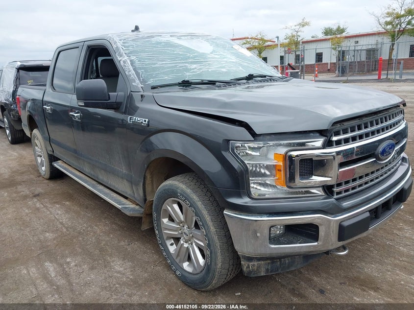 Vin: 1ftew1e46kfd13320, lot: 46651890, ford f-150 xlt 2019 img_1