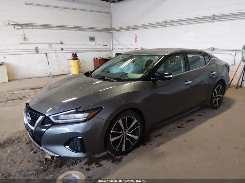 Vin: 1n4aa6cv9pc512575, lot: 46653435, nissan maxima sv xtronic cvt 20232