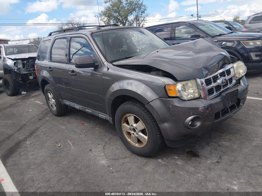 Vin: 1fmcu0dg7bkc71813, lot: 46653912, ford escape xlt 2011 img_1