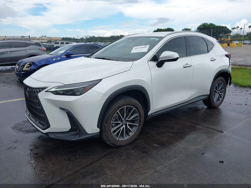 Vin: jtjadcazxr5014282, lot: 46654889, lexus nx 250 20242