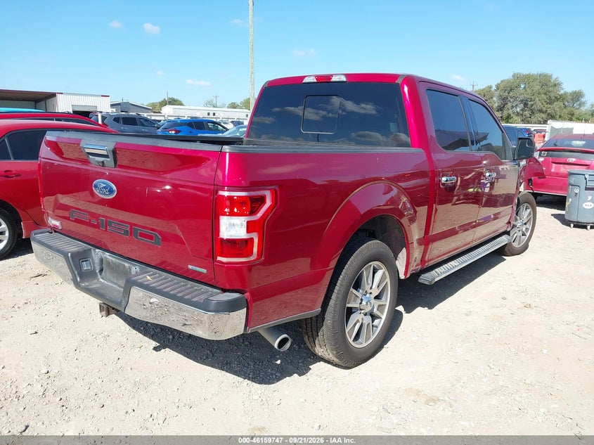 Vin: 1ftew1cp2kfa95969, lot: 46659546, ford f-150 xlt 20194