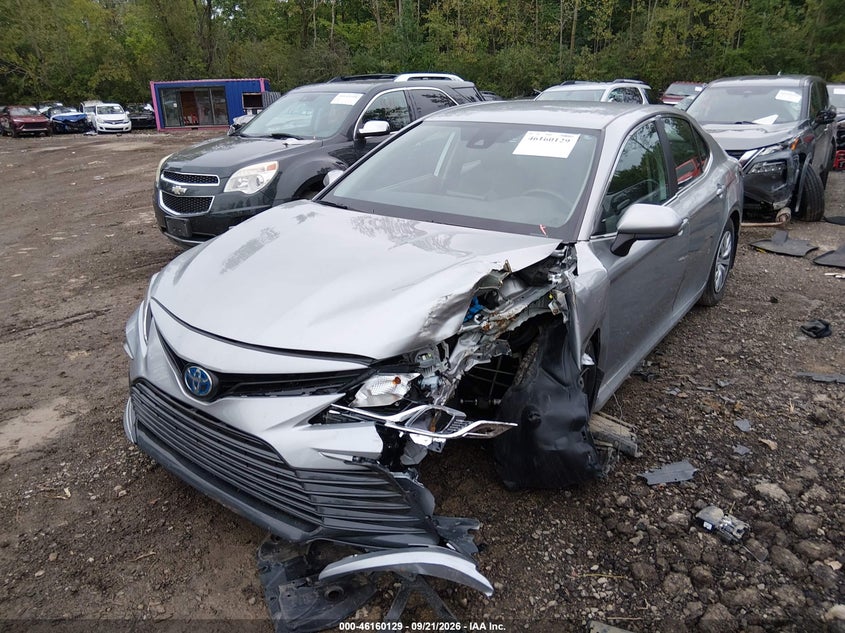 Vin: 4t1c31akxru069824, lot: 46659928, toyota camry hybrid le 20242