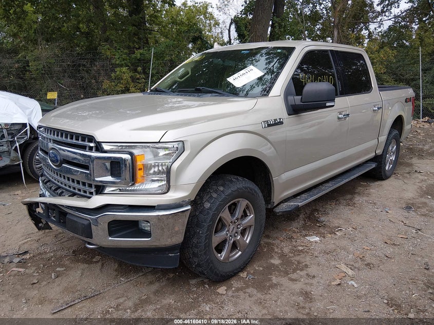 Vin: 1ftew1ep7jfa60792, lot: 46660209, ford f-150 xlt 20182