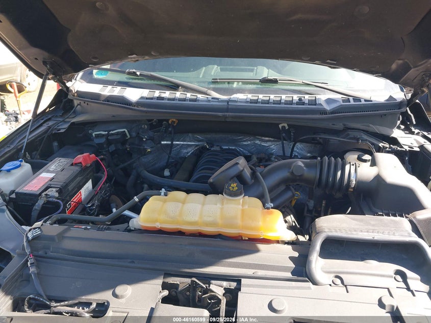 2015 FORD F-150 XLT · Photo 10