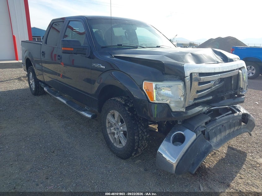 Vin: 1ftfw1ev9afa81713, lot: 46661702, ford f-150 fx4/harley-davidson/king ranch/lariat/platinum/xl/xlt 2010 img_1