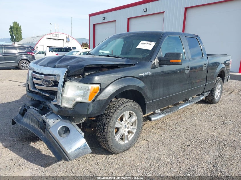 Vin: 1ftfw1ev9afa81713, lot: 46661702, ford f-150 fx4/harley-davidson/king ranch/lariat/platinum/xl/xlt 20102