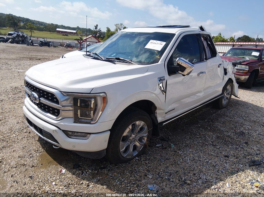 Vin: 1ftfw1ed2mfc69615, lot: 46663581, ford f-150 platinum 20212