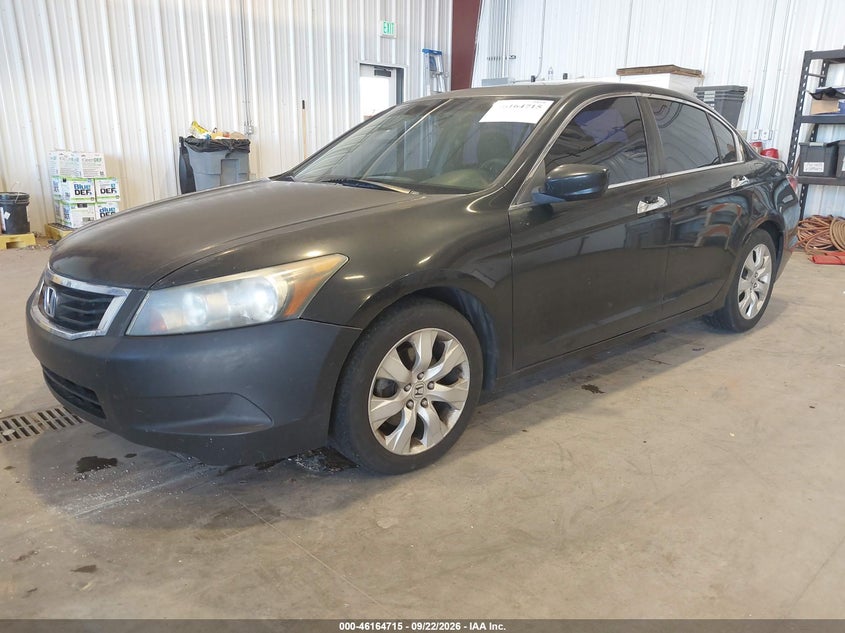 2010 Honda Accord, Звичайний знос, IAAI, VIN 1HGCP3F75AA030073 — фото 2