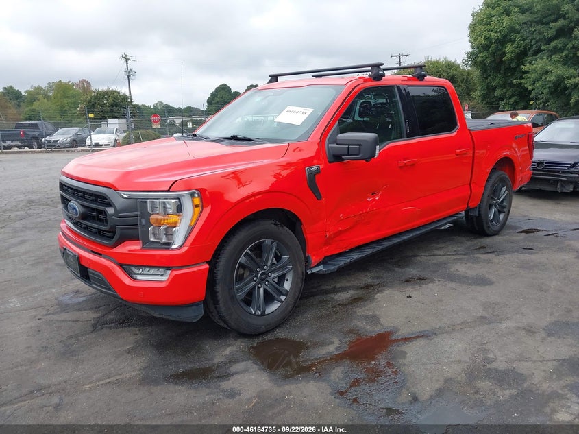 Vin: 1ftew1cp2pkd17604, lot: 46664577, ford f-150 xlt 20232