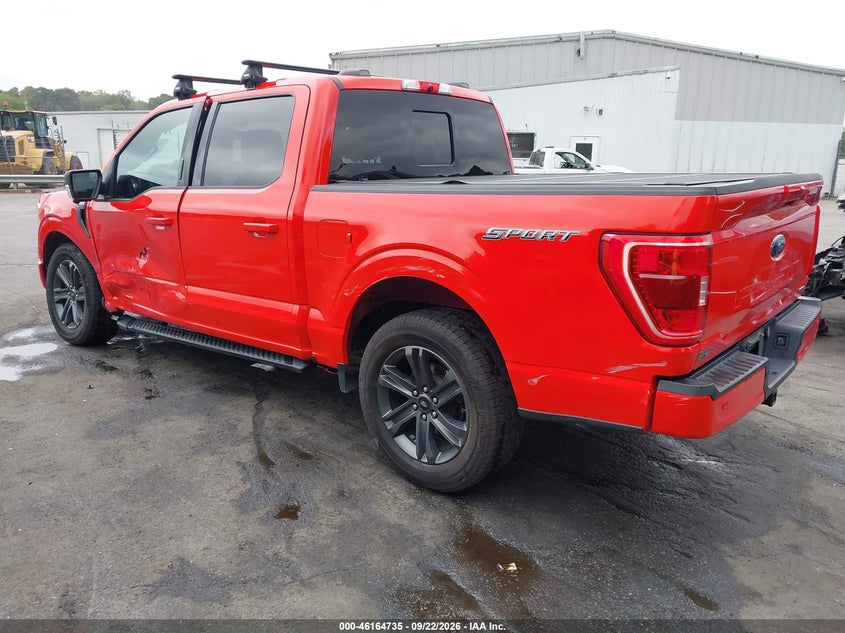 Vin: 1ftew1cp2pkd17604, lot: 46664577, ford f-150 xlt 20233